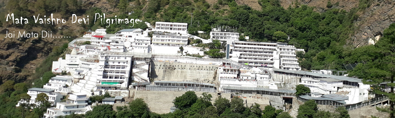  Best Travel agency Jammu